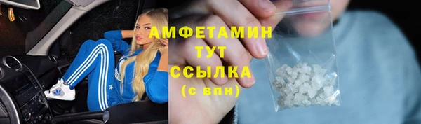 2c-b Бородино