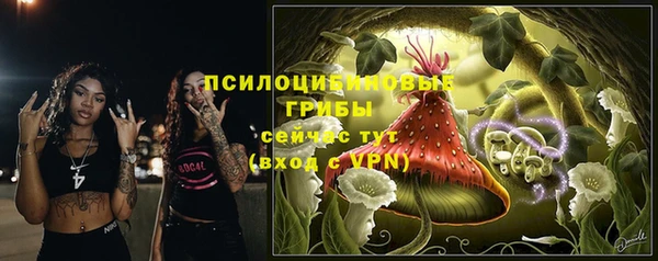 герыч Бронницы